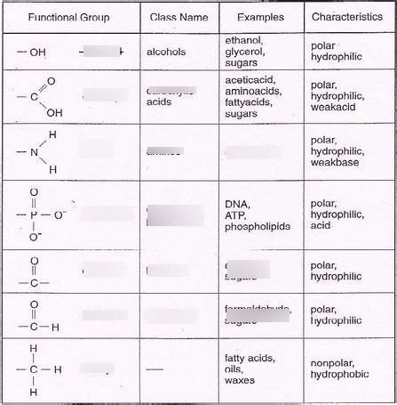 ap biology quizlet|ap bio quizlet unit 1.